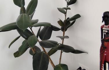 JO2024-25min to stade de France - Foto 36