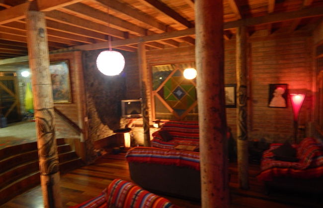 Dogs and Fish Dream Land - Foto 19