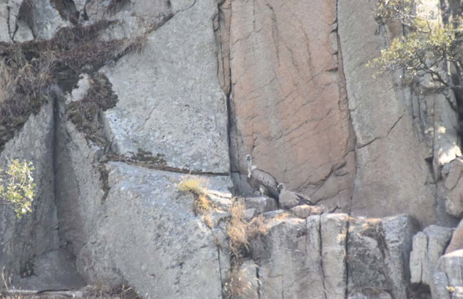 Paseo en barco por el Parque Natural del Duero Internacional - Foto 17