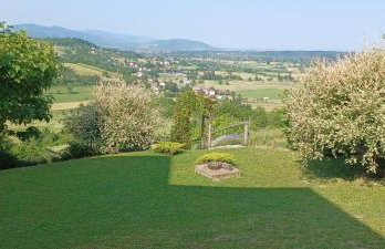 Apartman BIBA - Foto 23