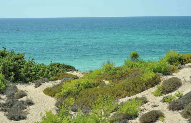 Farm Near the Beautiful Ionian Sea, in the Beautiful Salento - Foto 26