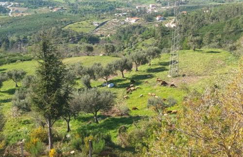 Casas do Castelo - Foto 147