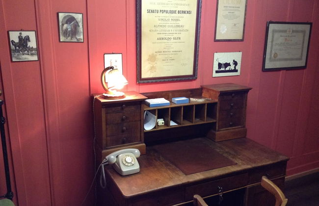 200 Year Old Swiss House - Foto 18