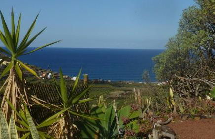 El Tangaro - Foto 32