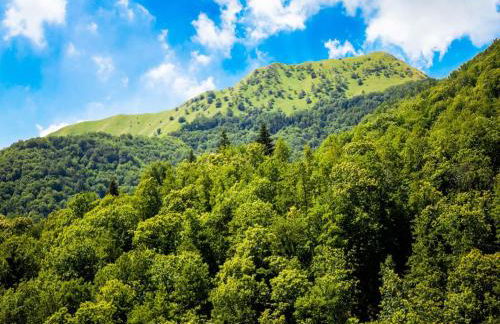 Holiday Home in Pascoso near Forest - Foto 36