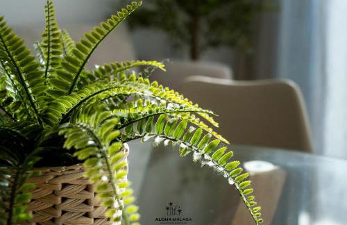 Bolivia Collection Playa Pedregalejo By Aloha Málaga - Foto 73