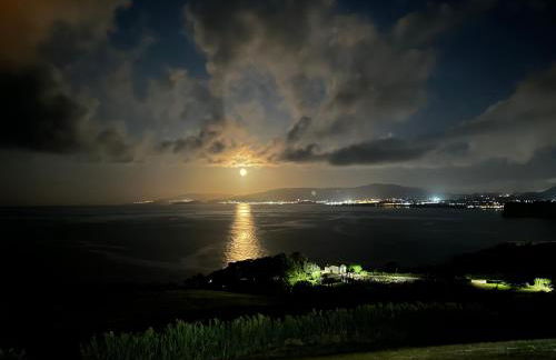 João de Oliveira - casas de campo - Photo 156