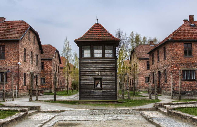 Auschwitz and Salt Mine Private Tour - Foto 1