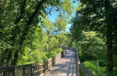 The Culpepper - Foto 37