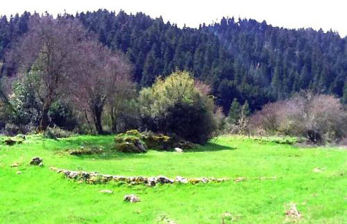 Elati Hills - Photo 59