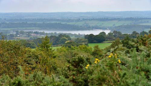 Finest Retreats - Rough Close Farm Cottage - Foto 5