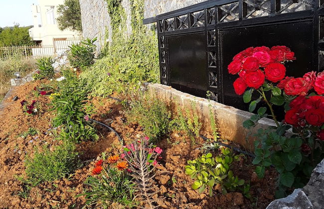 Marianos Apartments - Foto 36