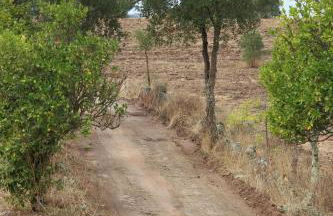 Cork Hills Farmhouse - Foto 27