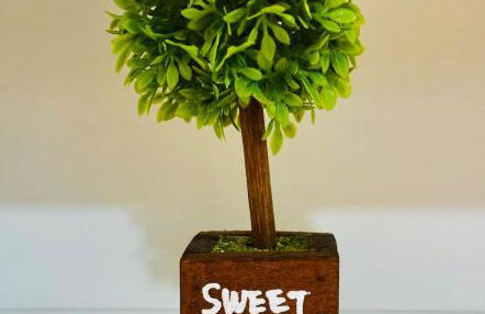 KITNET no Centro de São Roque - Foto 6