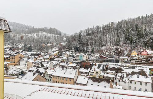 Schwarzwald Nescht Triberg - Foto 22