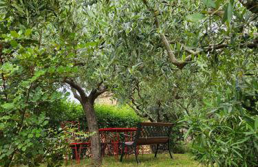 Apartmani Purić - Foto 31