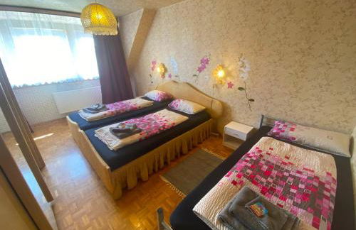 Ferienwohnungen / Ferienhaus Dillingen an der Donau - Foto 43