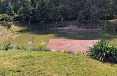 Bylew Zacisze - Foto 24