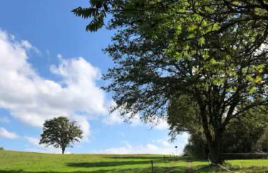 Chalet autonome avec étang pleine nature - Foto 6