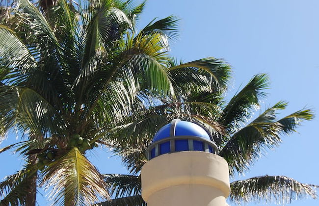 Monte Carlo by Miami Vacations - Photo 77