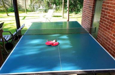 Ferienwohnung Kastanienhof, 35165 - Foto 9