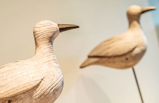 3 bedroom Apartment in Bredene with terrace - Photo 13