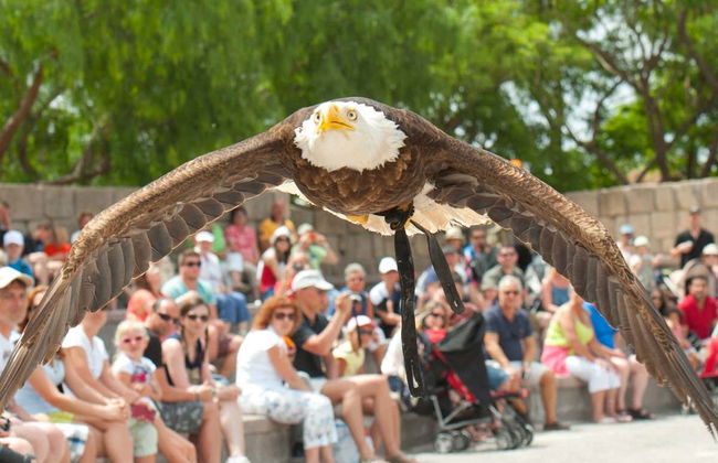 Jungle Park - Foto 3