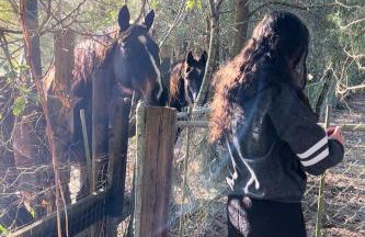 Happy Place near WEC , Natural Springs,Zip-Line - Photo 29