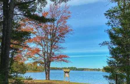 Barton City Lodge - Foto 17