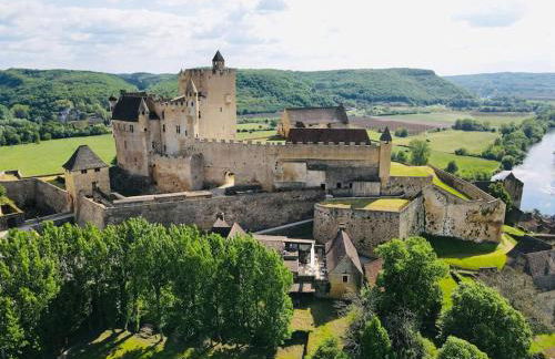 DREAM HOUSE in front of CHATEAU DE BEYNAC in Perigord , Dordogne - Foto 1