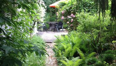 Finnhütte Canow - Foto 4, Garden