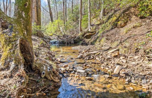 Creekside Cabin, Sauna, Near Wineries and BJ Reece - Foto 19