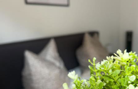 Stilvoll-Fewo mit Garten - Photo 36