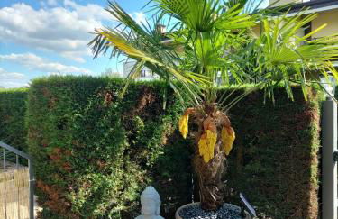 Apartament Nadine - Foto 5