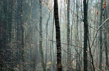 Dom Kacprowy - Brzegi Lasu - dwa apartamenty na wyłączność z ogrodem - Foto 54