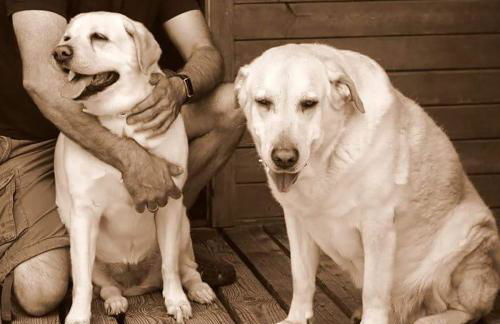 Cabañas Vallecino - Foto 23