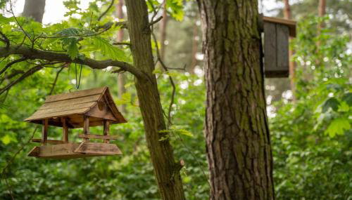 Zacisze Narwi - Foto 3