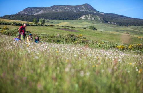 Maison de campagne atypique à Tence - Foto 23