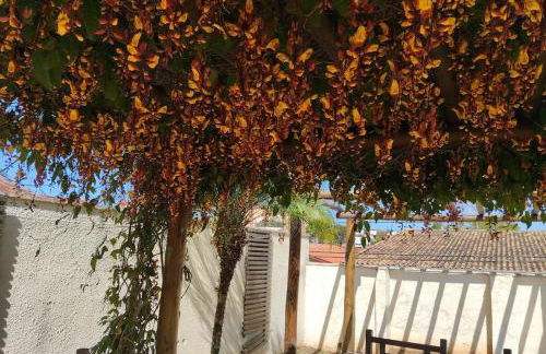 Acolhedor e Bem Localizado - Foto 51