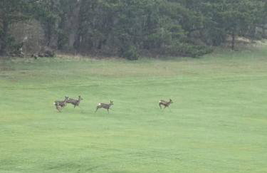Ample town house in Workington, West Lakes, Lake District - Foto 29