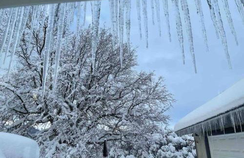 Modern House on 5 acr in Sequoia National Forest - Foto 73