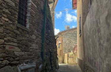 Alloggio nel Parco Alpi Apuane - Carnevale di Viareggio - Foto 30