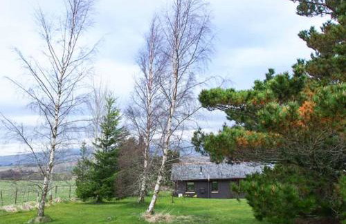 Pine Lodge - Photo 23