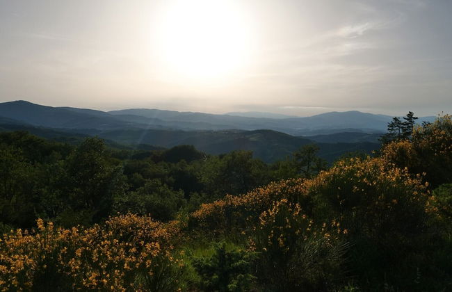 Villa Panorama - Photo 54