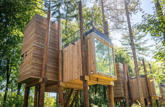Treehouse in Tournai With Sauna and Terrace - Photo 1