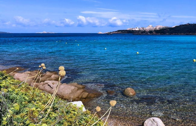 Maison Monte d'A Rena - Foto 52