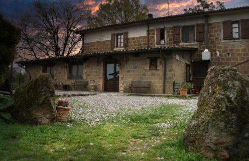 Bio Agriturismo Aia del Tufo - Foto 49