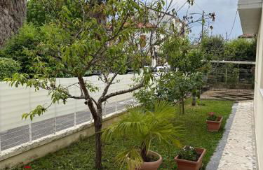 Casakevauri - Foto 47