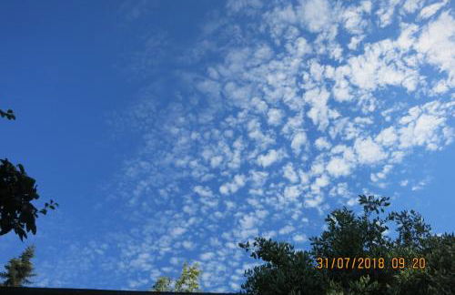 Wildgarten - Foto 17