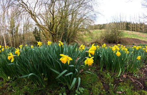 Raithby Lakehouse - Foto 22